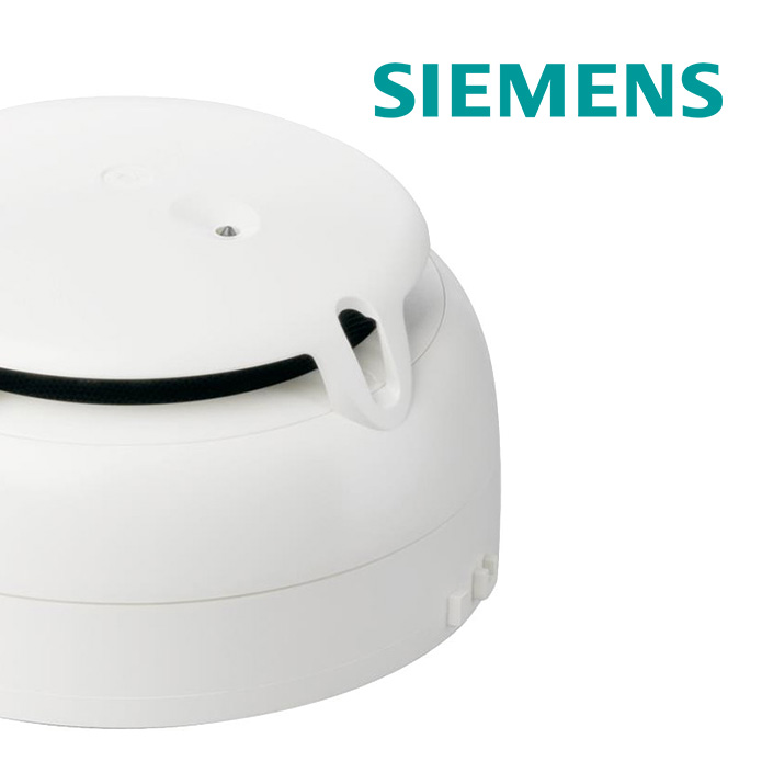 Siemens SWING Wireless Devices