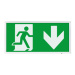ESP Duceri 3W LED Emergency Self Test Exit Box - Down