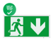 ESP Duceri 3W LED Emergency Self Test Exit Box - Down