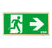 ESP Duceri 3W LED IP20 Emergency Exit Box - Lithium Battery - Brass - Right Arrow (D120RBR)