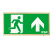 ESP Duceri 3W LED IP20 Emergency Exit Box - Lithium Battery - Brass - Right Arrow (D120UBR)