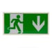 Hispec HSEM/LEDEBD Rhine 2.5W Emergency Exit Box (Down)