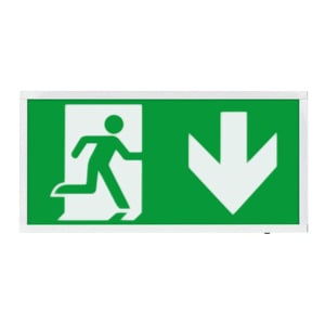 ESP Duceri 3W LED Emergency Self Test Exit Box - Down