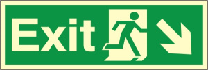 PP36L