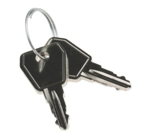C-TEC Spare Panel Access Key for Old Style CFP & XFP Panels (BF381KEY)
