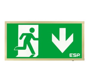 ESP Duceri 3W LED IP20 Emergency Exit Box - Lithium Battery - Brass - Down Arrow (D120DBR)