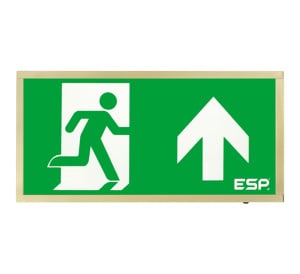ESP Duceri 3W LED IP20 Emergency Exit Box - Lithium Battery - Brass - Up Arrow (D120UBR)