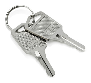 HAES KEY134 Panel Activate Controls Keys (2 x 134 Keys)