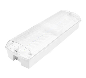 BLE RUSKIN 3.5W IP65 LED Emergency Bulkhead (EL-112950)