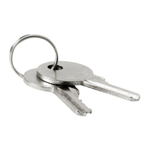 Firechief Spare Key for FMDCK Cabinets (FMDCK-KEY)