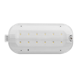 ESP Duceri 3W LED IP65 Hinged Emergency Bulkhead (EMLED3WMHBULK2)