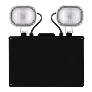 ESP Duceri LED IP40 Non-Maintained Emergency Twin Spot - Black