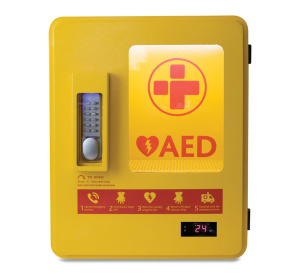 Heated Outdoor IP56 AED Metal Wall Cabinet with Integrated Alarm