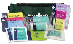Playground First Aid Kit - in Green Riga Bum Bag
