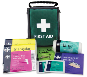 HSE 1 Person Travel First Aid Kit