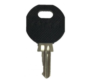 Advanced MXS-011 Spare Panel Door Key for MxPro 4 & 5 Panels